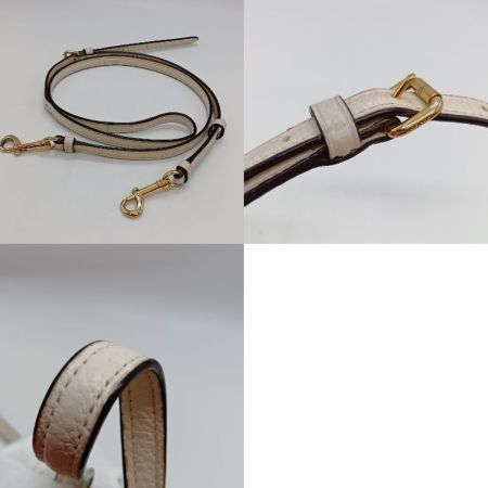  COACH コーチ ショルダーバッグ ポシェット C1432 ホワイト