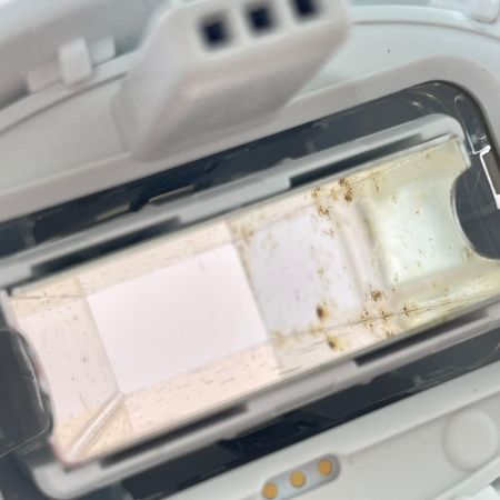  BRAUN ブラウン Silk expert Pro5 シルクエキスパートプロ5 脱毛器 光美容器 家庭用 PL5227