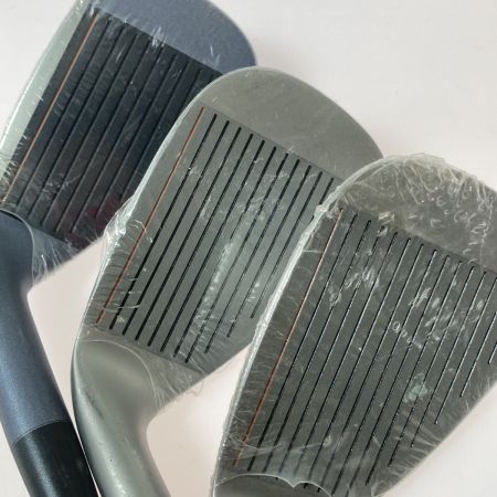  MIZUNO ミズノ VANGUARD FX 6-9.P.S 6本 アイアンセット レディース TECHNO FLEX 2550 F-A