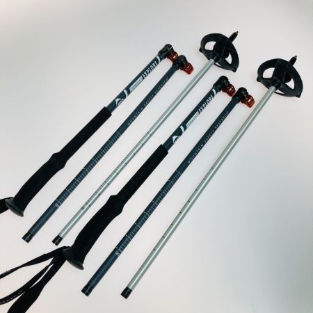  MSR エムエスアール DYNALOCK EXPLORE POLES 110-140cm スキー ポール バックカントリー ダイナロック エクスプローラー