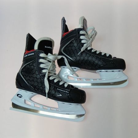  ICELAND GO アイスホッケー スケート靴 24cm ブレード 27cm GH-1000 外箱・エッジカバー付