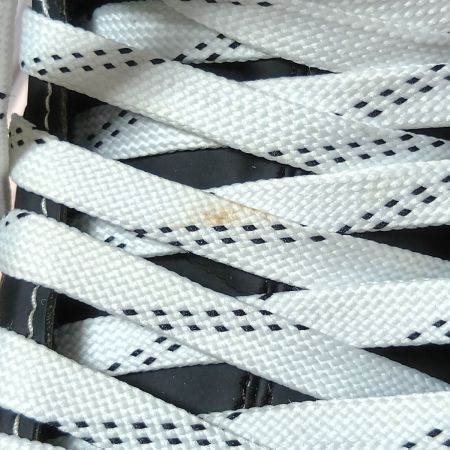  ICELAND GO アイスホッケー スケート靴 24cm ブレード 27cm GH-1000 外箱・エッジカバー付