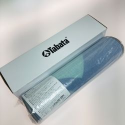 ◎◎ Tabata タバタ 絨毯パターマット GV8042 Sランク