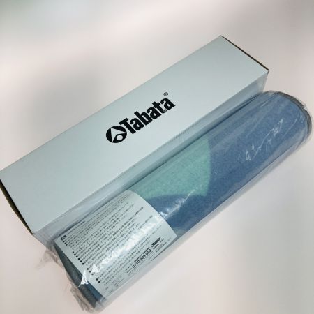  Tabata タバタ 絨毯パターマット GV8042