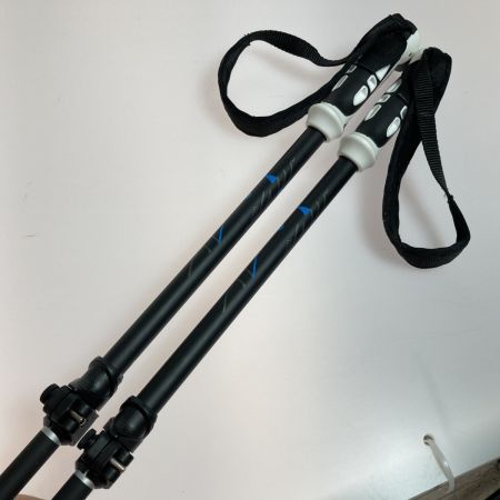  KIZAKI キザキ スキーストック プロシードTLアルミ KPAH-9010 ブラック 100-125cm 伸縮式 2本セット