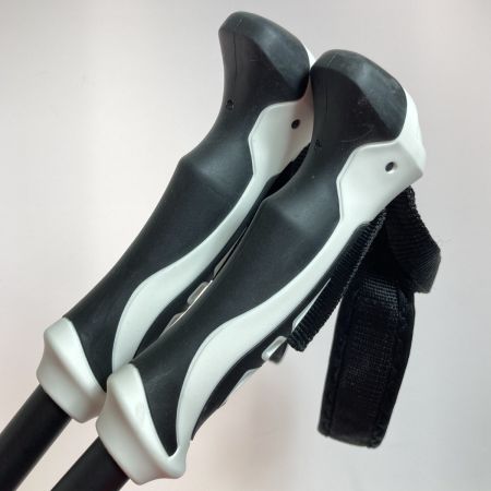  KIZAKI キザキ スキーストック プロシードTLアルミ KPAH-9010 ブラック 100-125cm 伸縮式 2本セット