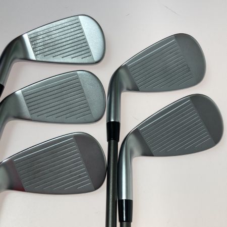   NEXGEN NS210 6-9.P 5本 アイアンセット EI-F NS210-I