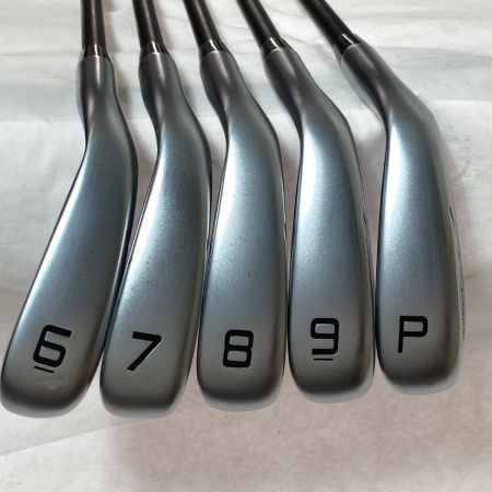   NEXGEN NS210 6-9.P 5本 アイアンセット EI-F NS210-I