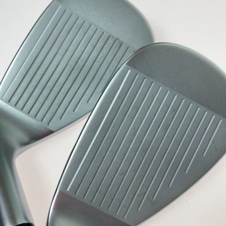   NEXGEN NS210 6-9.P 5本 アイアンセット EI-F NS210-I