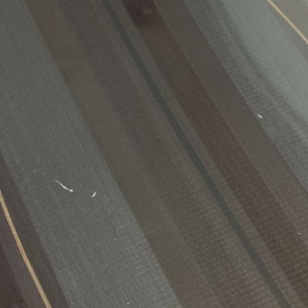  GENTEMSTICK ゲンテンスティック TT165 クラシックスノーボード 166cm 19-20年モデル