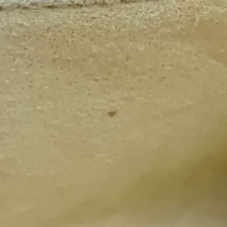  LOUIS VUITTON ルイヴィトン モノグラム ポシェットツインPM ショルダーバッグ M51854 ブラウン