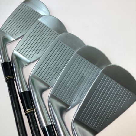   HM COLLECTION ヒロ・マツモト TOUR-24-HM FORGED 3-9.P.P/S.S 10本 アイアンセット