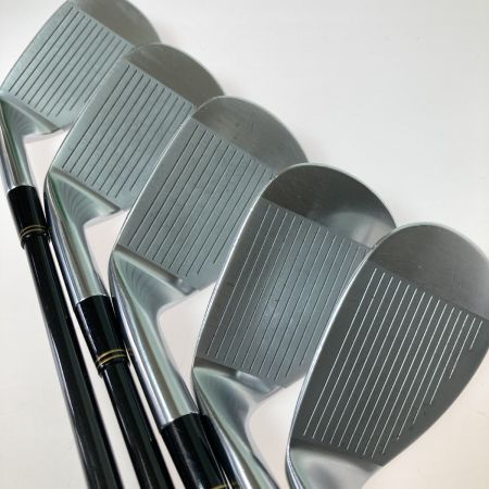   HM COLLECTION ヒロ・マツモト TOUR-24-HM FORGED 3-9.P.P/S.S 10本 アイアンセット