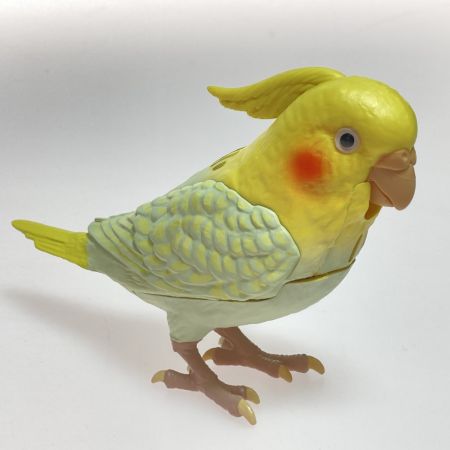  タカラトミーアーツ もっとおしゃべり 天才オカメインコちゃん