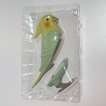  タカラトミーアーツ もっとおしゃべり 天才オカメインコちゃん