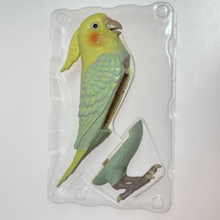  タカラトミーアーツ もっとおしゃべり 天才オカメインコちゃん
