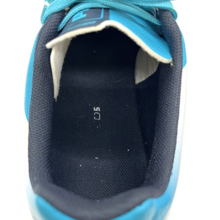  PUMA プーマ エヴォスピード5.2トリックスTT　ピンク×ブルー　サッカートレーニングシューズ 102888 06 サイズ22.5cm