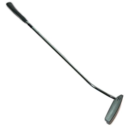  PRGR プロギア DATA CM-6 パター 35インチ シャフトサビ有