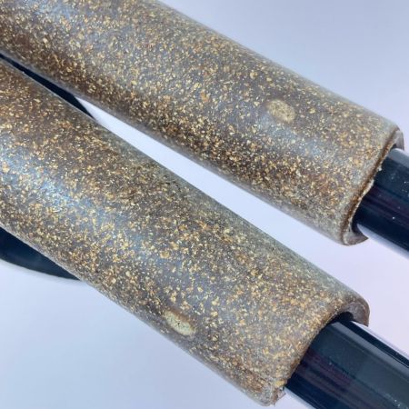  DOPPELGANGER ドッペルギャンガー ノルディックウォーキングポール トレッキングポール WP-01