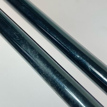  DOPPELGANGER ドッペルギャンガー ノルディックウォーキングポール トレッキングポール WP-01