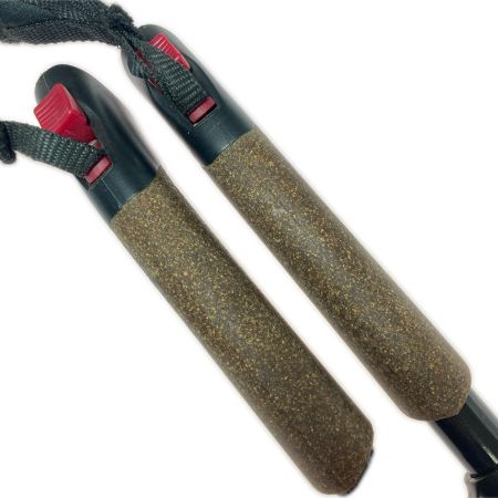  DOPPELGANGER ドッペルギャンガー ノルディックウォーキングポール トレッキングポール WP-01