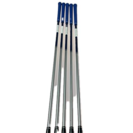  HONMA ホンマ BeZEAL ビジール 535 6-10 5本 アイアンセット VIZARD 48 R
