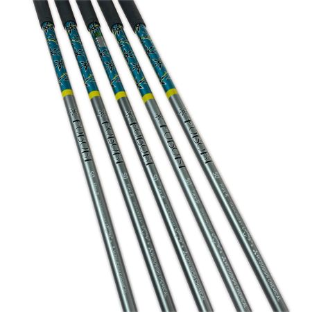  Callaway キャロウェイ ROGUE STAR ローグスター 6-9.P 5本 アイアンセット FUBUKI 50 R