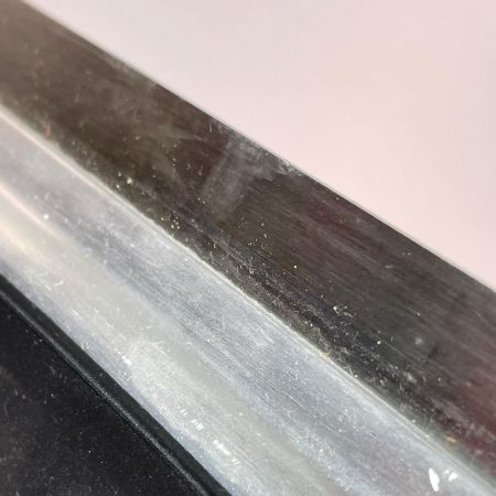 Icelandgo GS-2500 スピードスケート アイススケート靴 22.0cm