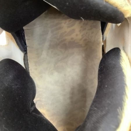  REEBOK リーボック  INSTAPUMP FURY "SBTG" bd2902  インスタポンプ フューリー サボタージュ SIZE 27.5cm BD2902 ベージュ