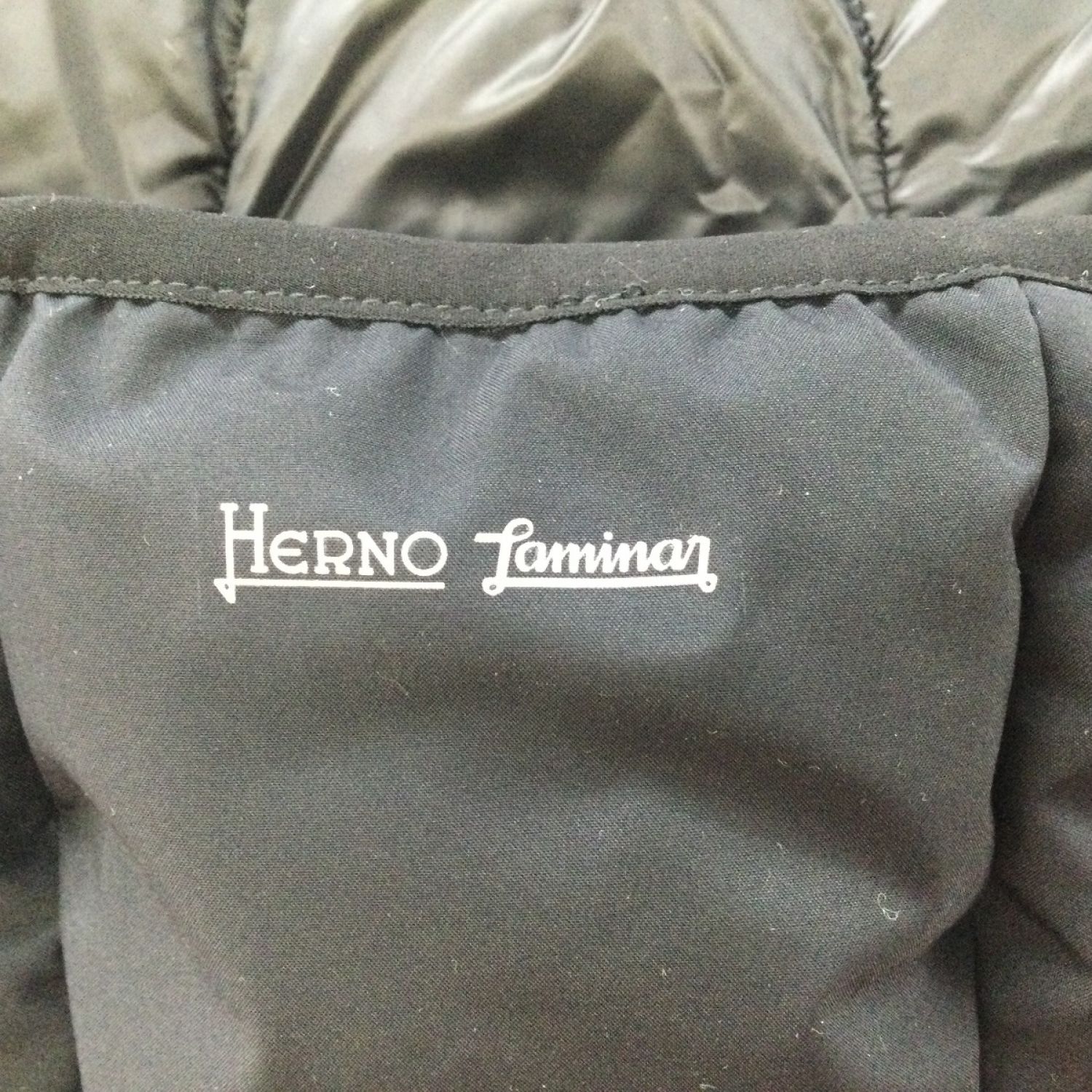 HERNO(ヘルノ) ダウンコート サイズ44 L -ダウンコート