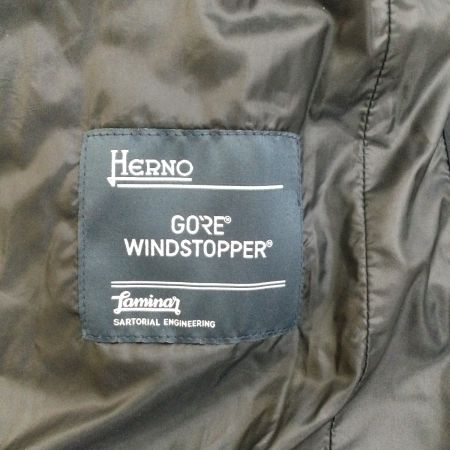 HERNO Laminor ヘルノ レディース ダウンコート SIZE 44（L） ブラック