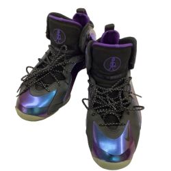 NIKE ナイキ メンズ スニーカー SIZE 28.5cm 630999-500 ブラック×パープル Bランク