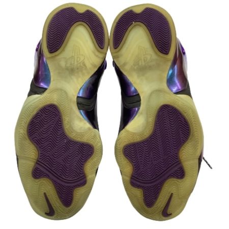 NIKE ナイキ メンズ スニーカー SIZE 28.5cm 630999-500 ブラック×パープル