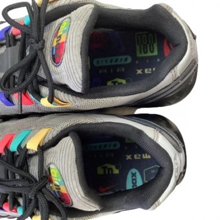  NIKE ナイキ メンズ スニーカー AIR MAX SIZE 28cm CW6575-001 グレー