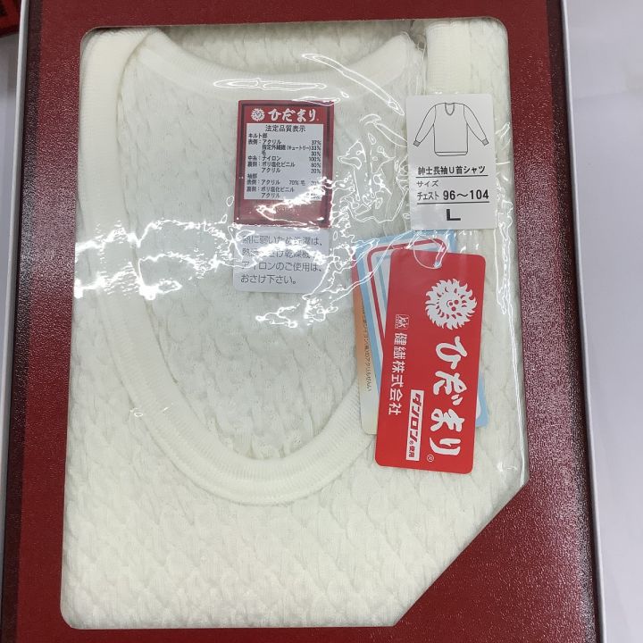 健康肌着 ひだまり極 アンダーウェア 長袖U首シャツ Lサイズ2枚 紳士