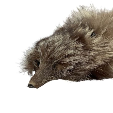 レディース和装小物 着物 ショール マフラー ラクーン