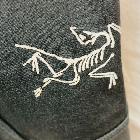  ARC'TERYX アークテリクス メンズ クライミングパンツ Gamma AR SIZE XS 17225 ブラック