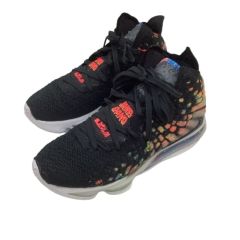 NIKE ナイキ  レブロン 17 ジェームズ ギャング  マルチカラー SIZE 27sennti  BQ3177-005 ブラック Bランク