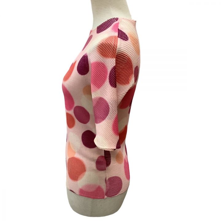 ISSEY MIYAKE PLEATS(T.) イッセイミヤケ カットソー ワッフルプリーツ