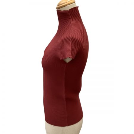  ISSEY MIYAKE イッセイミヤケ ワッフルプリーツ カットソー SIZE M IM94FT022 エンジ