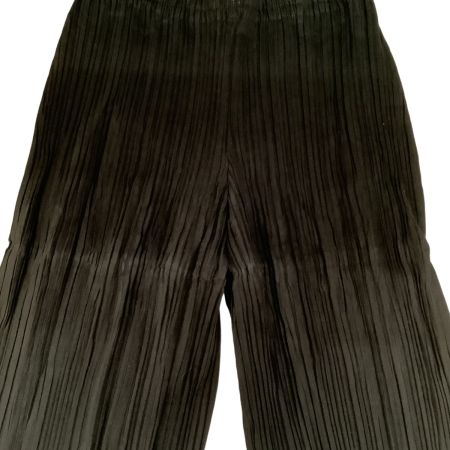 ISSEY MIYAKE イッセイミヤケ パンツ プリーツ 焦げ茶