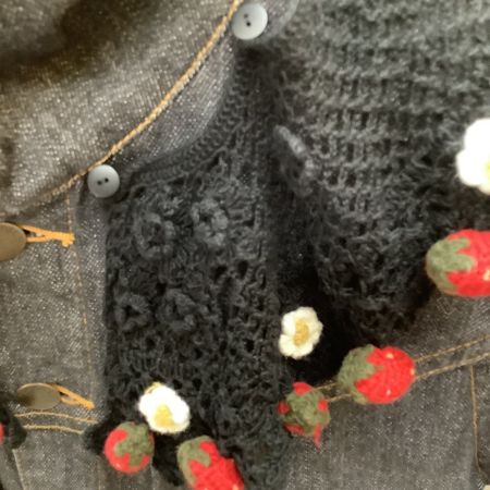  PINK HOUSE ピンクハウス レア デニムジャケット SIZE M レース編み イチゴ 白花 襟付き ブラック