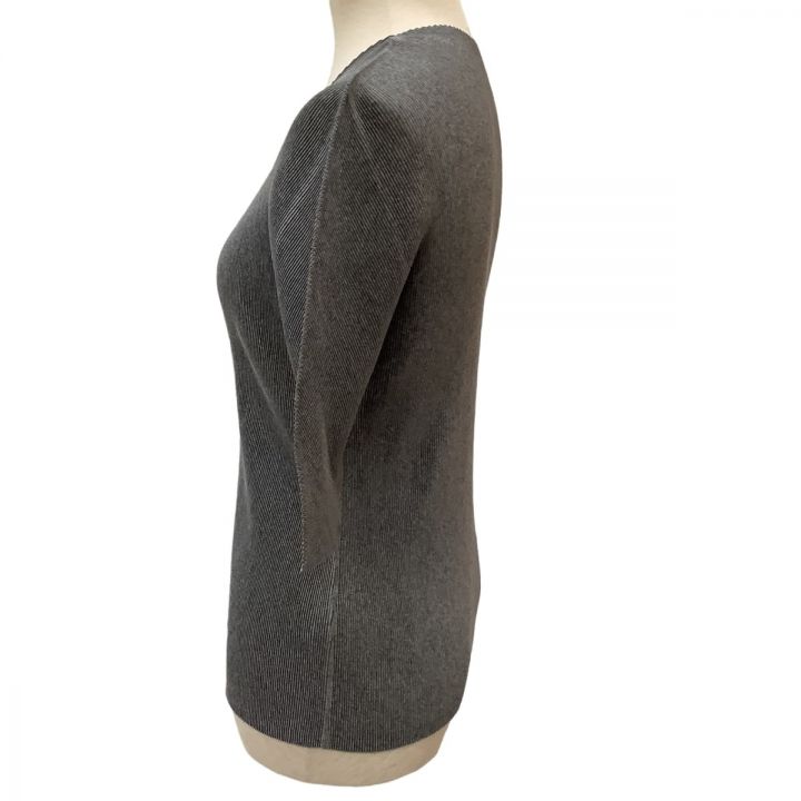 ISSEY MIYAKE イッセイミヤケ PLEATS PLEASE 半袖カットソー SIZE 3