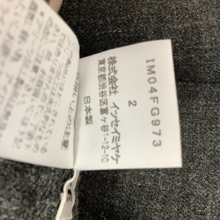  ISSEY MIYAKE イッセイミヤケ プリーツスカート SIZE 2 IM04FG973 グレー