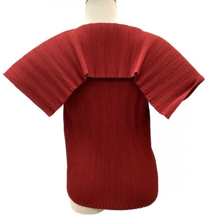  ISSEY MIYAKE WHITE LABEL 変形 セーラー プリーツ カットソー SIZE 3 IM34FJ722 レッド
