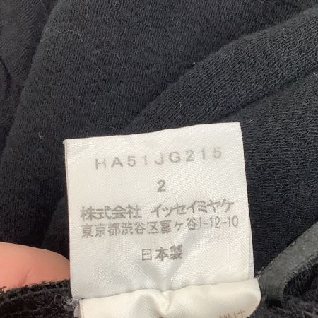 ISSEY MIYAKE HeaRT HaaT イッセイミヤケ スカート SIZE 2 HA51JG215 ブラック