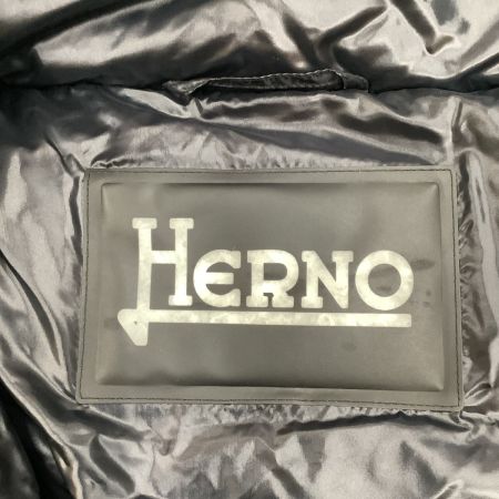 Herno ヘルノ レディース ダウンジャケット ダウン90％ SIZE 46(XL相当) ブラック