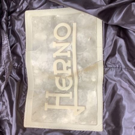 HERNO ヘルノ レディース ダウンコート SIZE 44 ブラウン