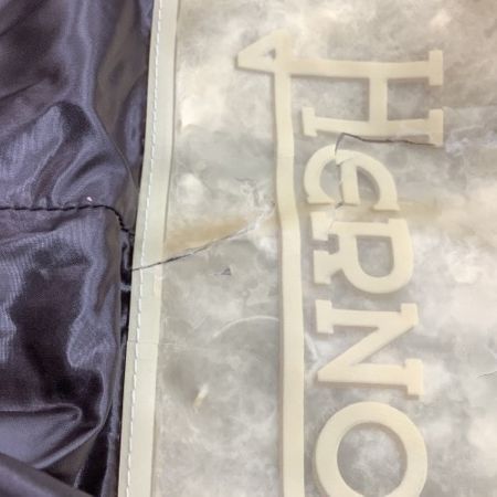 HERNO ヘルノ レディース ダウンコート SIZE 44 ブラウン