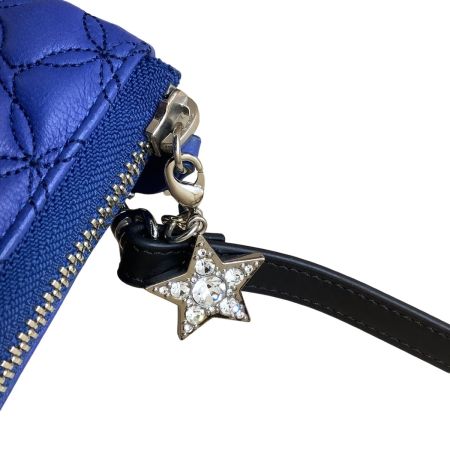 ANNA SUI アナスイ お財布ショルダー ウォレットショルダー  ブルー